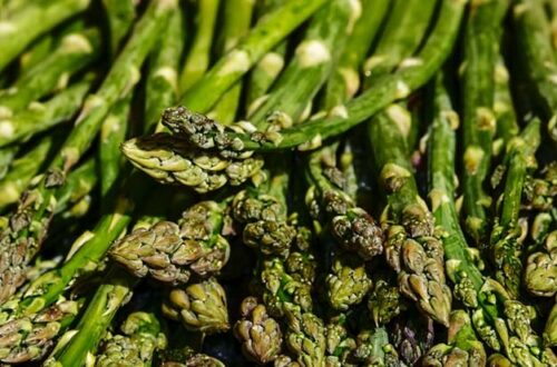 How to Tell If Asparagus Is Bad1