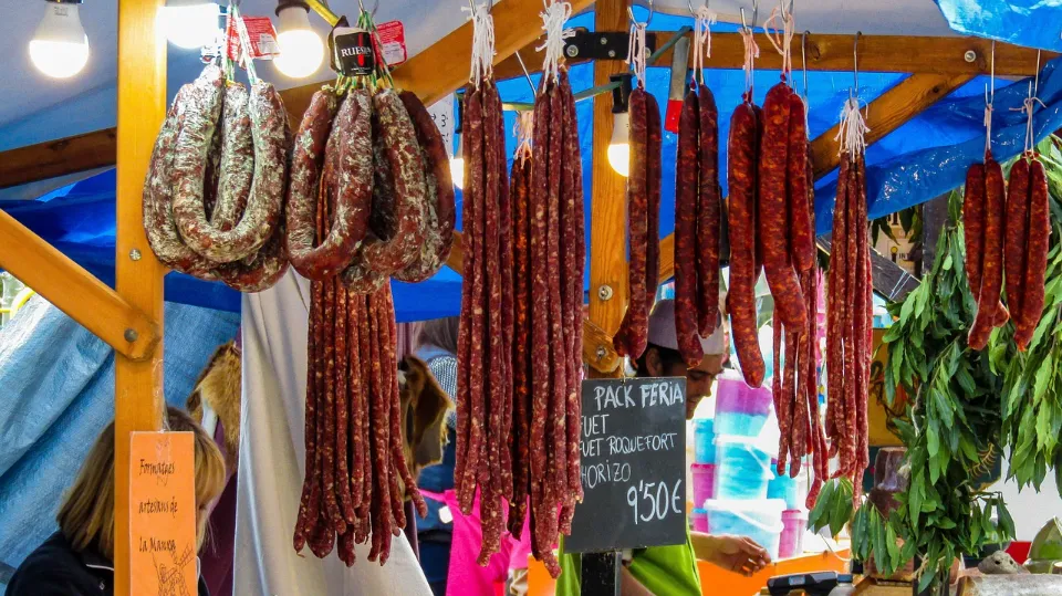 Can Dogs Eat Chorizo - A Guide for Pet Owners