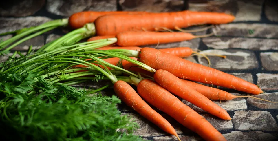 Can You Eat Carrots With Braces - Tips and Tricks