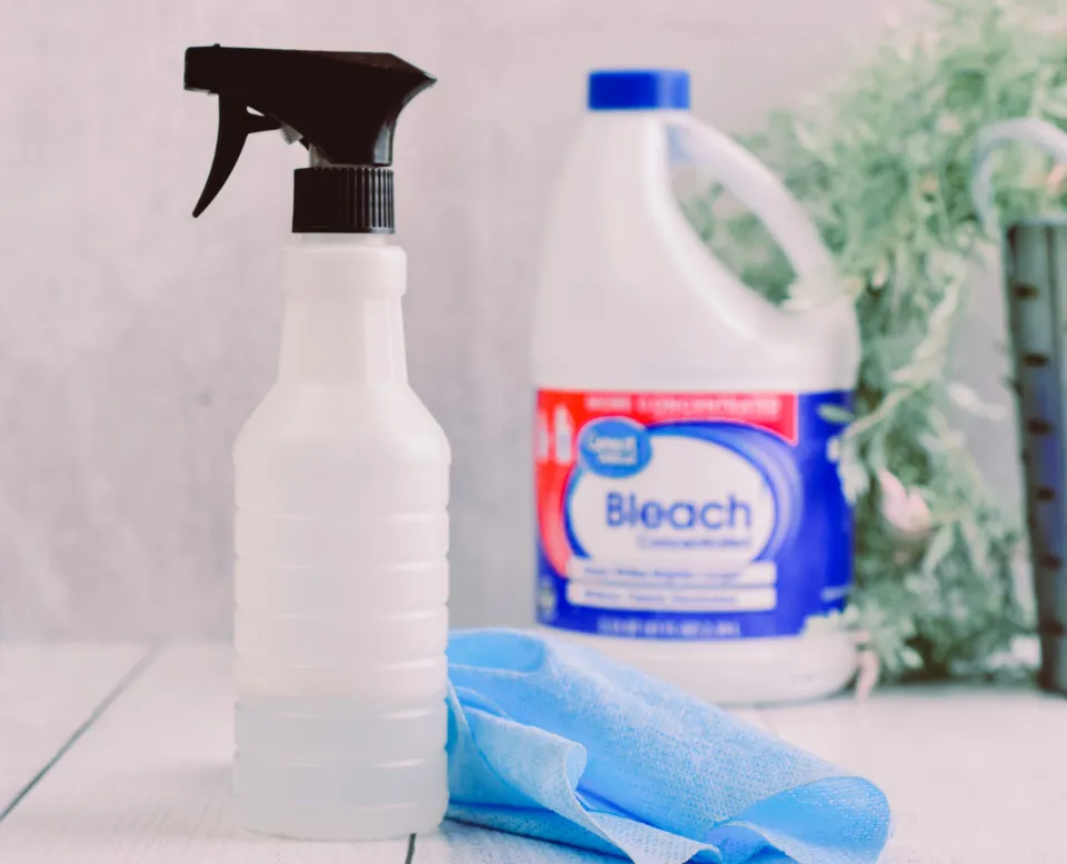 Can You Mix Fabuloso And Bleach - Is It Safe?