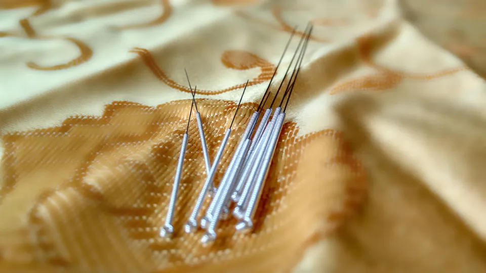 Does Acupuncture Detox The Body - Myth or Reality?